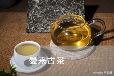 曼来古茶/2023090127469