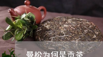 曼松为何是贡茶/2023042974956