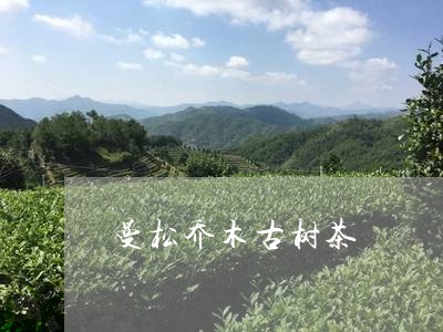 曼松乔木古树茶/2023042983022