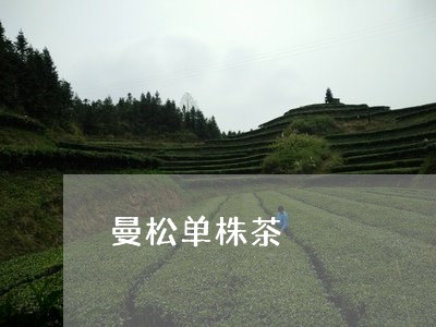曼松单株茶/2023121964027