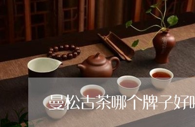 曼松古茶哪个牌子好喝/2023071342624