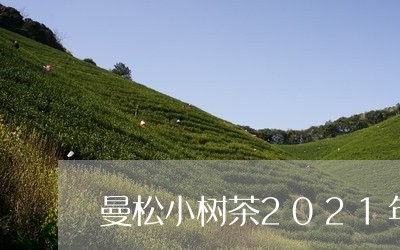 曼松小树茶2021年价格/2023051124152