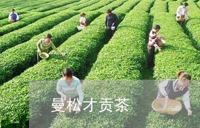 曼松才贡茶/2023090231826