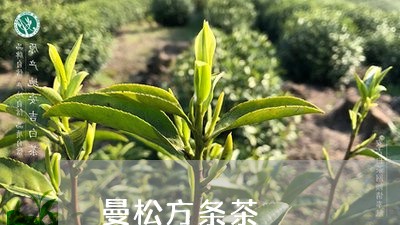 曼松方条茶/2023090239693