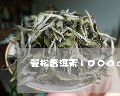 曼松普洱茶1000g生茶/2023110246047