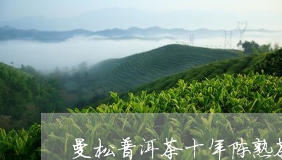 曼松普洱茶十年陈熟茶/2023120641736