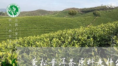 曼松普洱茶原料是什么/2023121728462