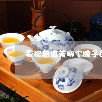 曼松普洱茶哪个牌子的好喝点/2023052818069