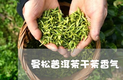 曼松普洱茶干茶香气/2023101794868