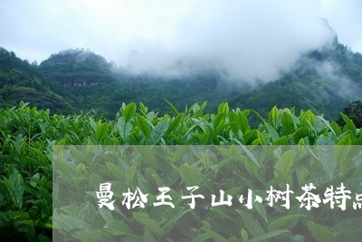 曼松王子山小树茶特点/2023071348572