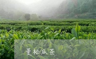 曼松瓜茶/2023090196162