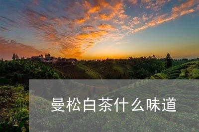 曼松白茶什么味道/2023062184938