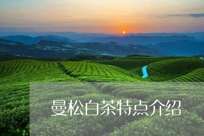 曼松白茶特点介绍/2023062186481