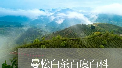 曼松白茶百度百科/2023062130404