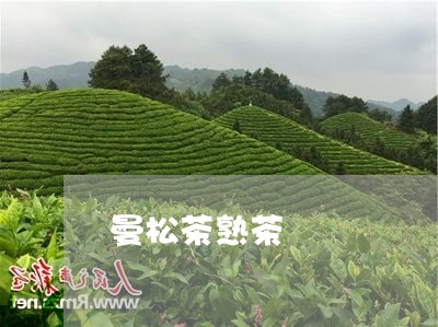 曼松茶熟茶/2023110973847