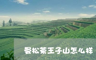 曼松茶王子山怎么样/2023042023505