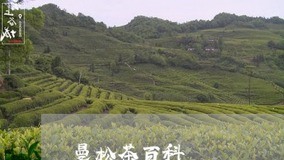 曼松茶百科/2023090224026