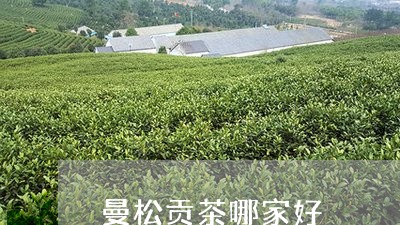 曼松贡茶哪家好/2023042975315