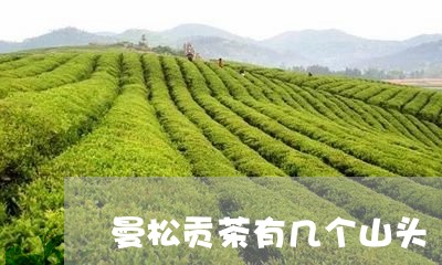 曼松贡茶有几个山头/2023042082613