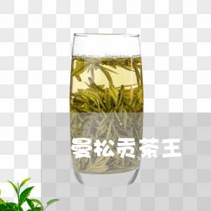 曼松贡茶王/2023090202705