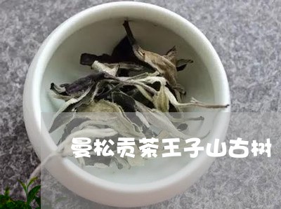 曼松贡茶王子山古树/2023042059594