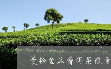 曼松金瓜普洱茶限量版/2023121720583