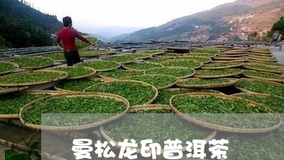 曼松龙印普洱茶/2023082644171