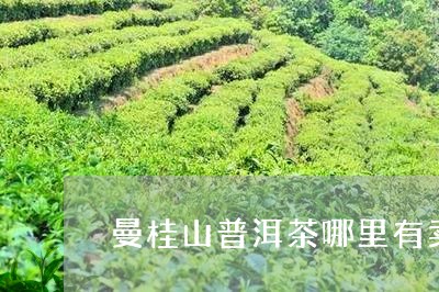 曼桂山普洱茶哪里有卖/2023092740591