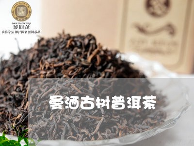 曼洒古树普洱茶/2023110704946