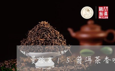 曼派815普洱茶香味/2023100683736