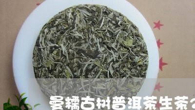 曼糯古树普洱茶生茶200g/2023083125070