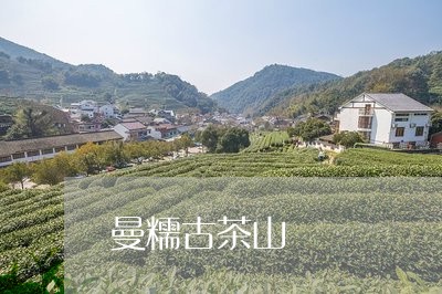 曼糯古茶山/2023090236169