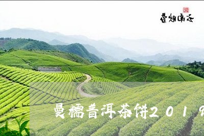 曼糯普洱茶饼2019/2023100646242