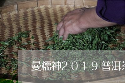 曼糯神2019普洱茶/2023062700691