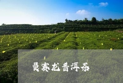 曼赛龙普洱茶/2023042874052