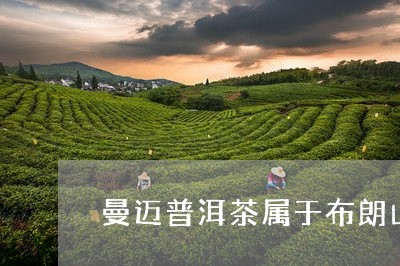 曼迈普洱茶属于布朗山/2023062221717