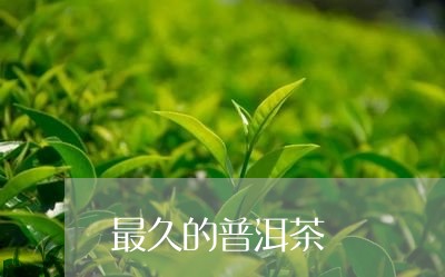 最久的普洱茶/2023042974664