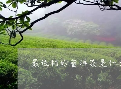 最低档的普洱茶是什么茶/2023112884938