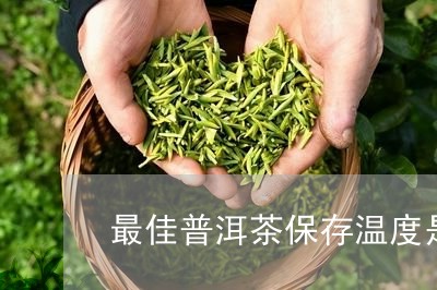 最佳普洱茶保存温度是多少合适/2023082811504