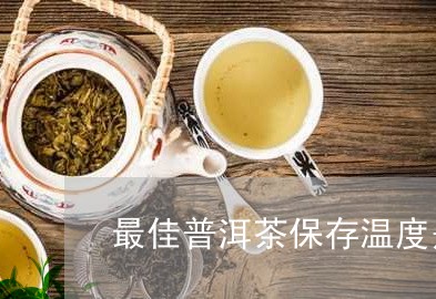 最佳普洱茶保存温度是多少度/2023052872704