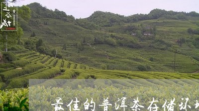 最佳的普洱茶存储环境/2023100723927