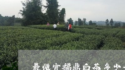 最便宜福鼎白茶多少一斤/2023092527179