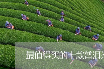 最值得买的十款普洱茶/2023120650395