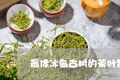 最像冰岛古树的茶叶是什么茶/2023052724269