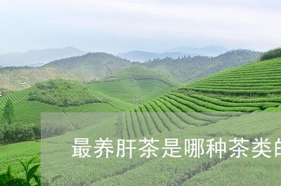 最养肝茶是哪种茶类的普洱茶/2023110754036