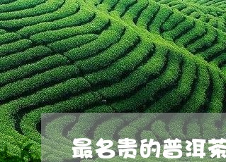 最名贵的普洱茶排名第一/2023081482815