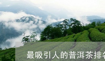 最吸引人的普洱茶排名/2023061617049