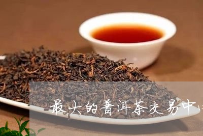 最大的普洱茶交易中心/2023092855038