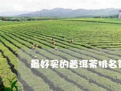 最好买的普洱茶排名第一/2023110769695