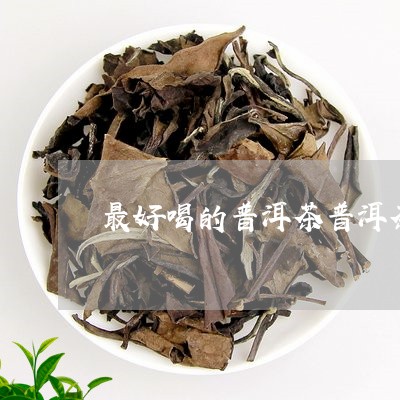 最好喝的普洱茶普洱茶用什么存放/2023060273515